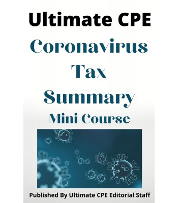 Coronavirus Tax Summary 2024 Mini Course